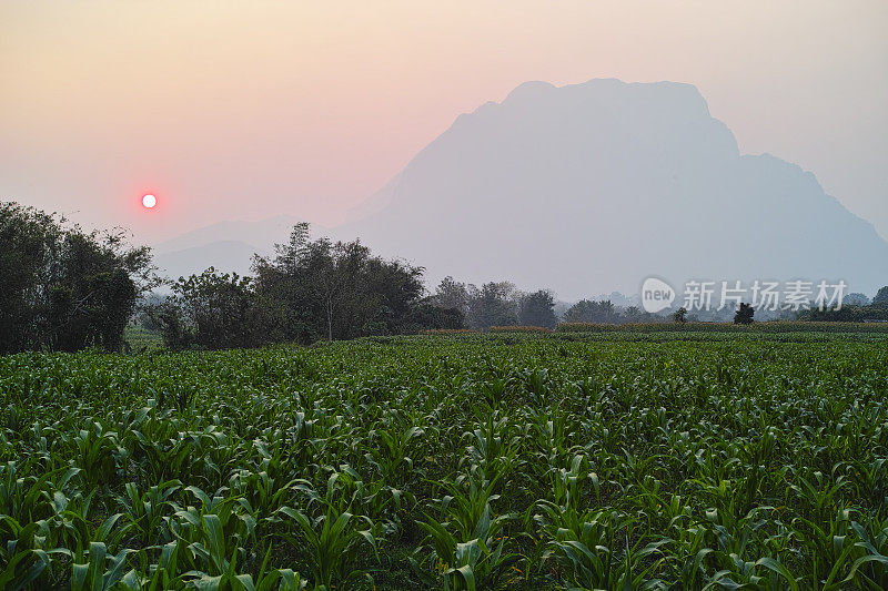 Doi Luang 山和清道。